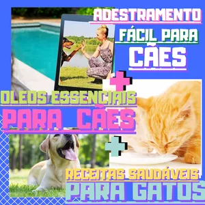 Capa do curso 