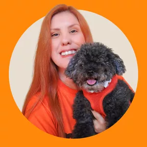 Imagem de capa para o Curso online Cão Independente 