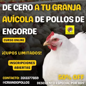 Imagen de portada para Curso online De Cero a Tu Granja Avícola de pollos de engorde🐥🤠