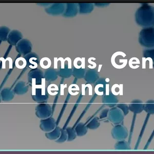 Imagen de portada para Ebook Cromosomas genes y la herencia 