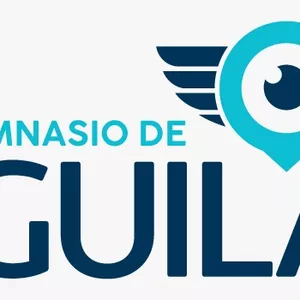 Imagen de portada para Curso online Gimnasio De Águilas