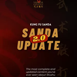 Cover image for Ebook Sanda Update 2.0 English Version