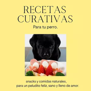 Imagen de portada para Ebook Recetas curativas para tu perro