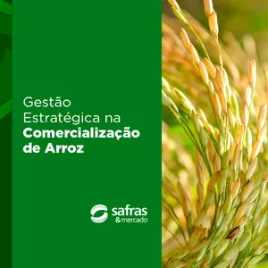 Imagem de capa para o Curso online Curso Gestão Estratégica na Comercialização de Arroz – Safras & Mercado