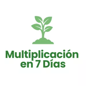 Imagen de portada para Ebook Método Multiplicación en 7 Días