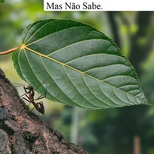 Imagem de capa para o Ebook O Poder Que Você Tem, Mas Não Sabe.