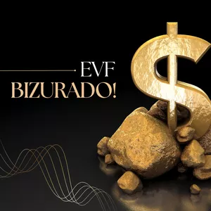 Imagem de capa para o Curso online EVF Bizurado | Estudo de Viab. Financeira