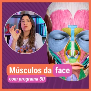 Imagem de capa para o Ebook Apostila MÚSCULOS DA FACE. Material de Apoio aulas Youtube.