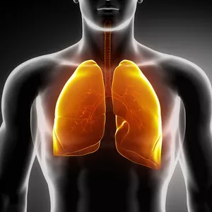 Imagen de portada para Ebook El Asma