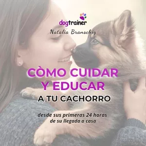 Imagen de portada para Ebook Cómo Educar y Cuidar a tu perro cachorro desde las primeras 24 horas de su llegada a casa