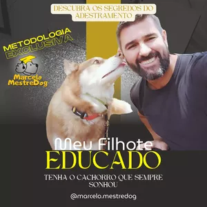 Imagem do curso MEU FILHOTE EDUCADO - O passo a passo pra construir a convivência perfeita