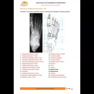 Imagem de capa para o Ebook Anatomia Óssea dos Membros Inferiores: Guia Completo com Exercícios e Respostas