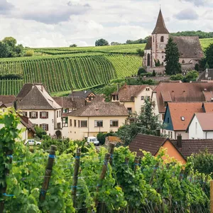 Imagem de capa para o Curso online Borgonha: um lugar mágico para os amantes de vinho