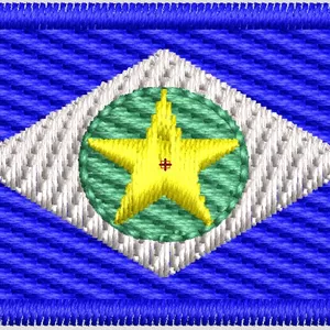Imagem de capa para o Curso online MATRIZ BORDADO BANDEIRA MT 4 x 2,5 cm