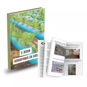 Imagen de portada para Ebook Hidroponia en casa