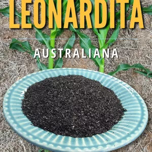 Imagem de capa para o Ebook Leonardita Australiana - Aprenda tudo e ainda saiba como aplicar sem entupir bicos