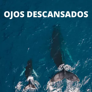 Imagen de portada para Curso online OJOS DESCANSADOS