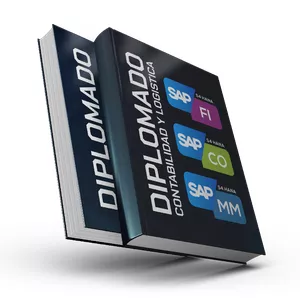 Imagen de portada para Curso online Diplomado en Contabilidad y Finanzas con SAP S/4HANA