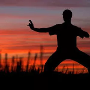 Imagem de capa para o Curso online Curso de Chi Kung