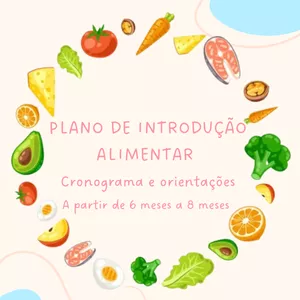 Imagem de capa para o Ebook Plano introdução alimentar-6 a 8 meses