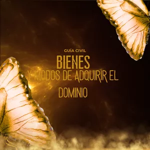 Imagen de portada para Ebook BIENES Y MODOS DE ADQUIRIR EL DOMINIO