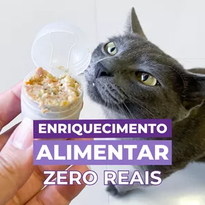 Imagem de capa para o Curso online Curso: Enriquecimento Alimentar Zero Reais