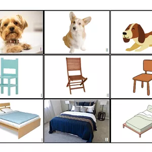 Imagem de capa para o Curso online Pareamento de semelhança 