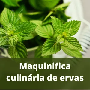 Imagem de capa para o Ebook Ervas culinárias