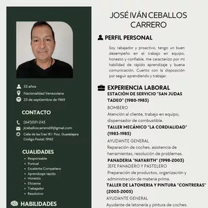 Imagen de portada para Ebook Curriculum Vitae 