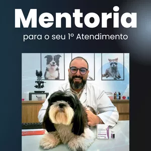 Imagem de capa para o Serviço online Mentoria Individual: 100% de Sucesso no seu 1ºAtendimento