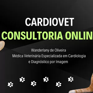 Imagem de capa para o Serviço online Cardiovet Consultoria Online - Teleinterconsulta
