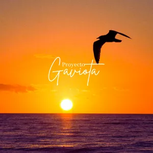 Imagen de portada para Curso online Proceso terapéutico para aumentar tu autoestima "Proyecto Gaviota"