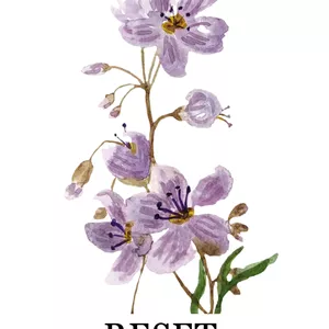 Imagen de portada para Ebook Reset emocional