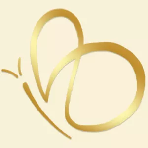 Imagem de capa para o Curso online Organizer Select