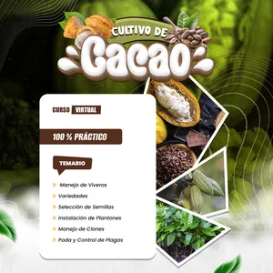 Imagen de portada para Curso online Curso de Cultivo de Cacao