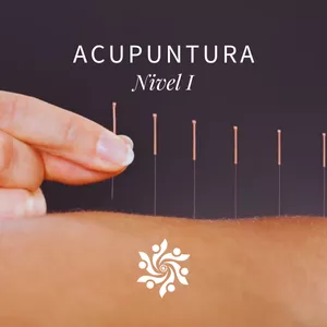 Imagen de portada para Curso online Curso de Acupuntura integrativa – Terapia, Diagnóstico y Práctica