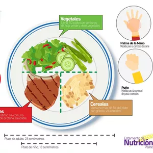 Imagen de portada para Curso online Plato saludable 