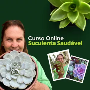 Imagem do curso Suculenta Saudável