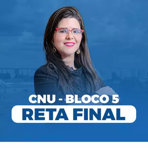 Imagem de capa para o Curso online CNU 05 - Curso de Reta Final