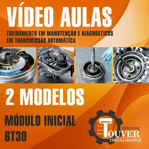 Imagem de capa para o Curso online 2 Modelos de Vídeo Aulas