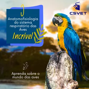 Imagem do curso Anatomofisiologia do sistema respiratório das aves
