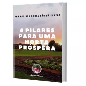 Imagem de capa para o Ebook 4 Pilares Para Uma Horta Próspera