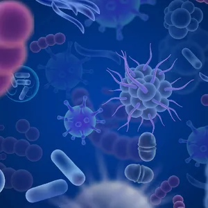 Imagem de capa para o Curso online Biologia