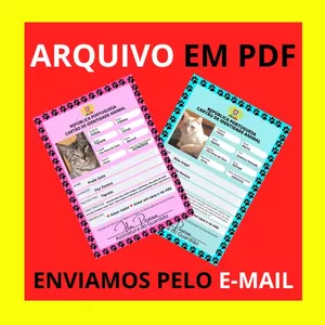 Imagem de capa para o Curso online Cartão Pet Português