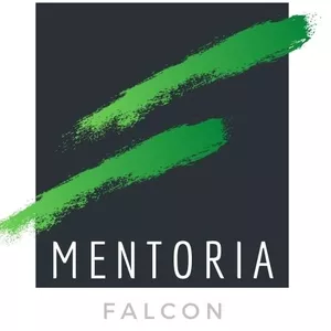 Imagem de capa para o Serviço online Mentoria Falcon - Canvas