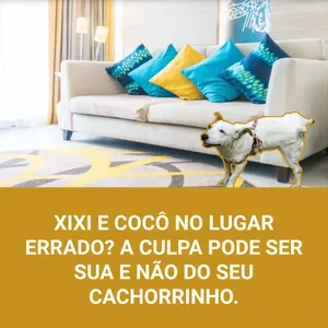 Treinamento Completo Xixi e Coco no Lugar Certo
