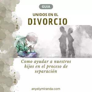 Imagen de portada para Ebook UNIDOS EN EL DIVORCIO