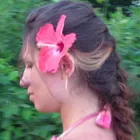 Terena