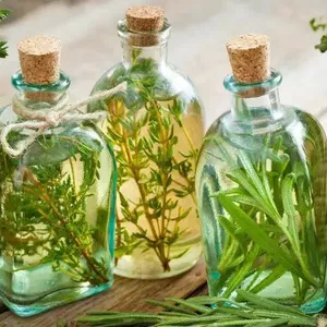 Imagem de capa para o Ebook A Medicina das Plantas