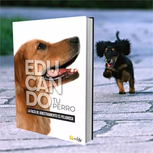 Imagen de portada para Ebook Educando a tu Perro